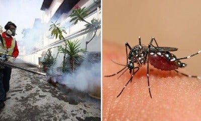 Moh Warns That Dengue Cases On The Rise Due To Different Strain Of Virus Detected - World Of Buzz