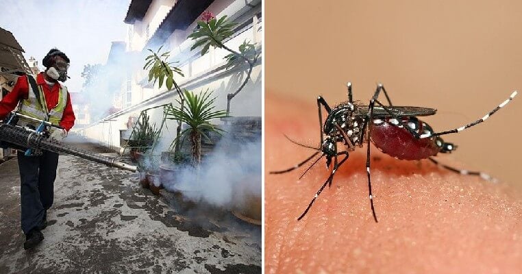 MOH Warns That Dengue Cases on The Rise Due to Different Strain of Virus Detected - WORLD OF BUZZ