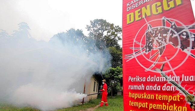 MOH Warns That Dengue Cases on The Rise Due to Different Strain of Virus - WORLD OF BUZZ