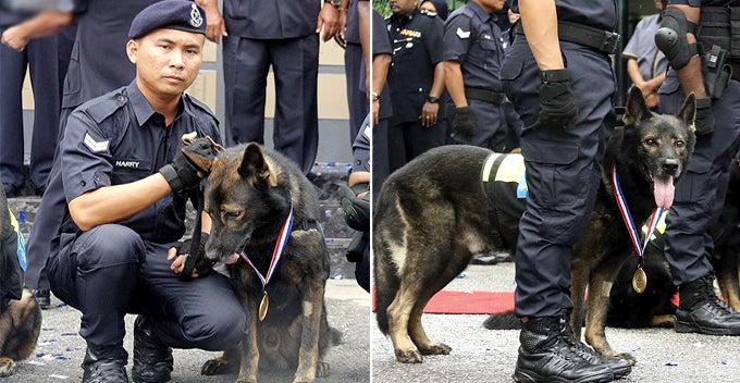 pdrm sets up first ever k 9 memorial to honour the sacrifices of police dogs world of buzz