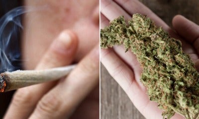 Research: Men Who Smoke Weed Have Higher Sperm Counts - World Of Buzz