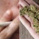 Research: Men Who Smoke Weed Have Higher Sperm Counts - World Of Buzz