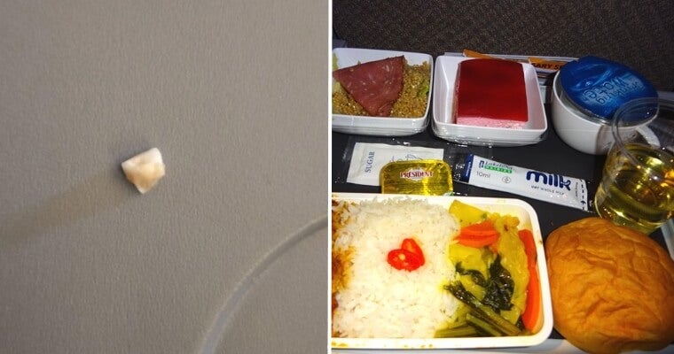 Singapore Airlines Investigating After Passenger Shockingly Finds Human Tooth in His Rice - WORLD OF BUZZ