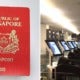 Singapore Passport Holders Can Now Use Automated Immigration Egates In New Zealand - World Of Buzz 1