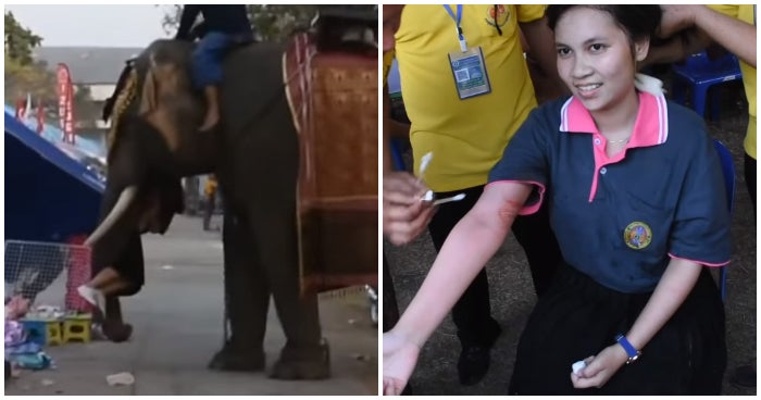 Thai Girl Tries To Take Photo With Elephant, Gets Picked Up And Flung For 2 Minutes - World Of Buzz