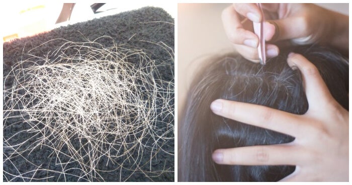 Tired Of Plucking Your White Hairs? This Japanese Store Will Do It For You For Rm126! - World Of Buzz 2