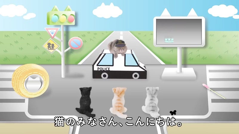 Watch: Road Safety Video For Cats Made By Animal Experts. No, We AreNot Kitten Around - WORLD OF BUZZ