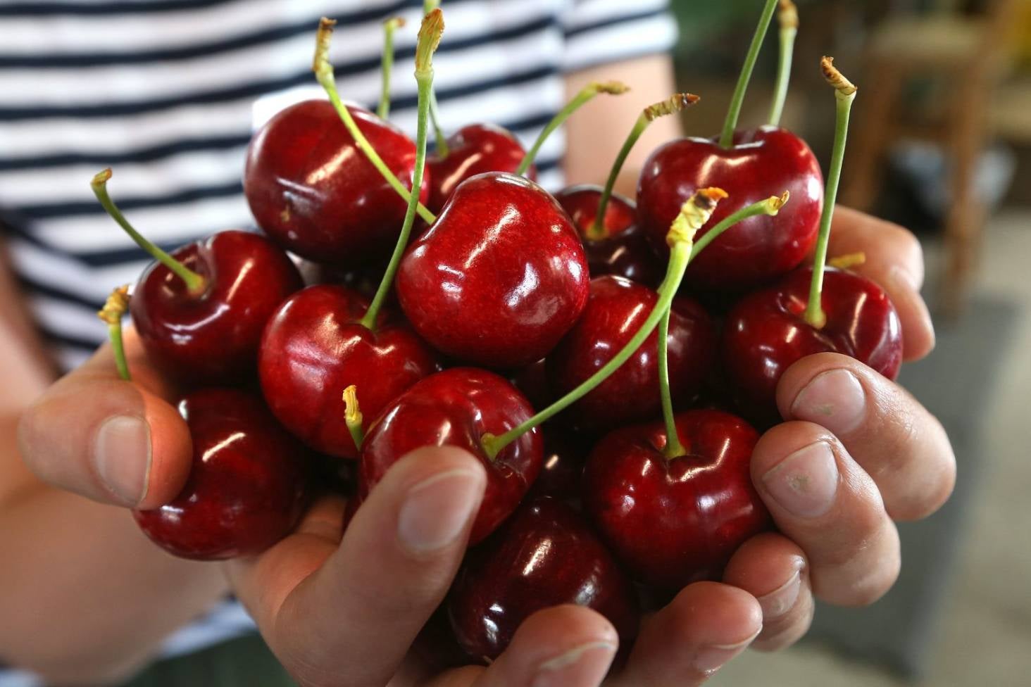 Woman Eats 50 Cherries In Few Hours, Experiences &Quot;Blood-Coloured&Quot; Poop &Amp; Faints In Toilet - World Of Buzz 1