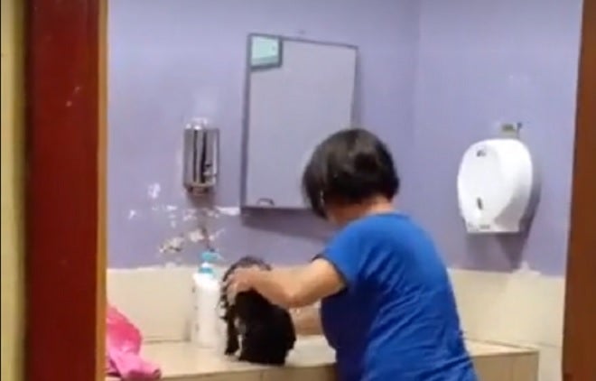 Woman Gives Dog a Bath in R&R Diaper Changing Room, Ignores Calls to Stop - WORLD OF BUZZ 15