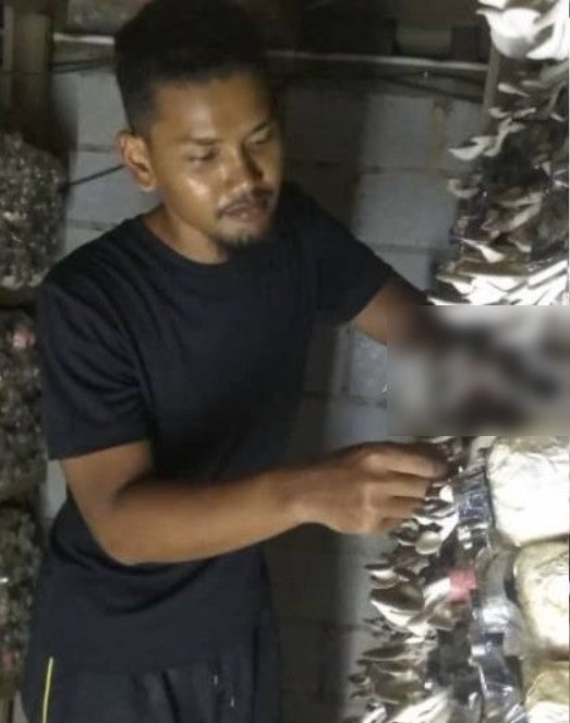 Graduate Unable To Find Work For Four Years Now Makes Living Selling Mushrooms On Shopee, Netizens Inspired - WORLD OF BUZZ 2