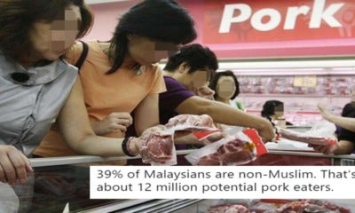 Netizen Makes Sense On Why Malaysia Can Have The Largest Pig Farm In Asia - World Of Buzz 9