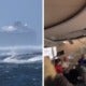 Shocking Videos Of Passengers Thrown Around Cruise Ship After Engines Fail During Storm Go Viral - World Of Buzz