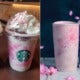 Starbucks Is Releasing Cherry Blossom-Inspired Beverages &Amp; Merchandises On 26 March 2019 - World Of Buzz 8