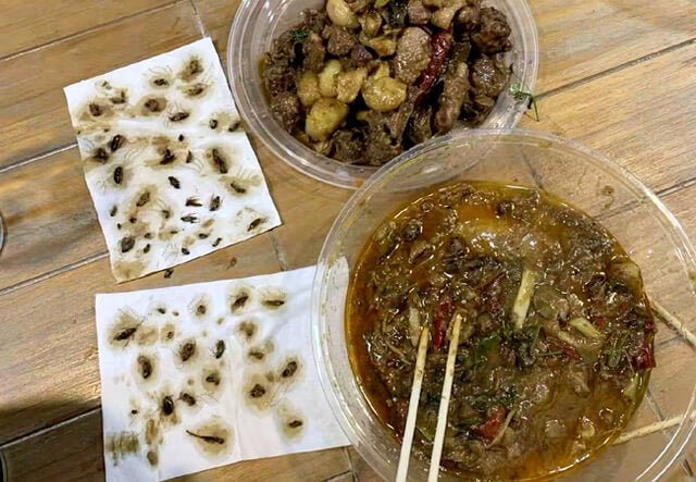 This Woman Ordered Duck Stew from a Food Delivery, But Found 40 Cockroaches Instead - WORLD OF BUZZ