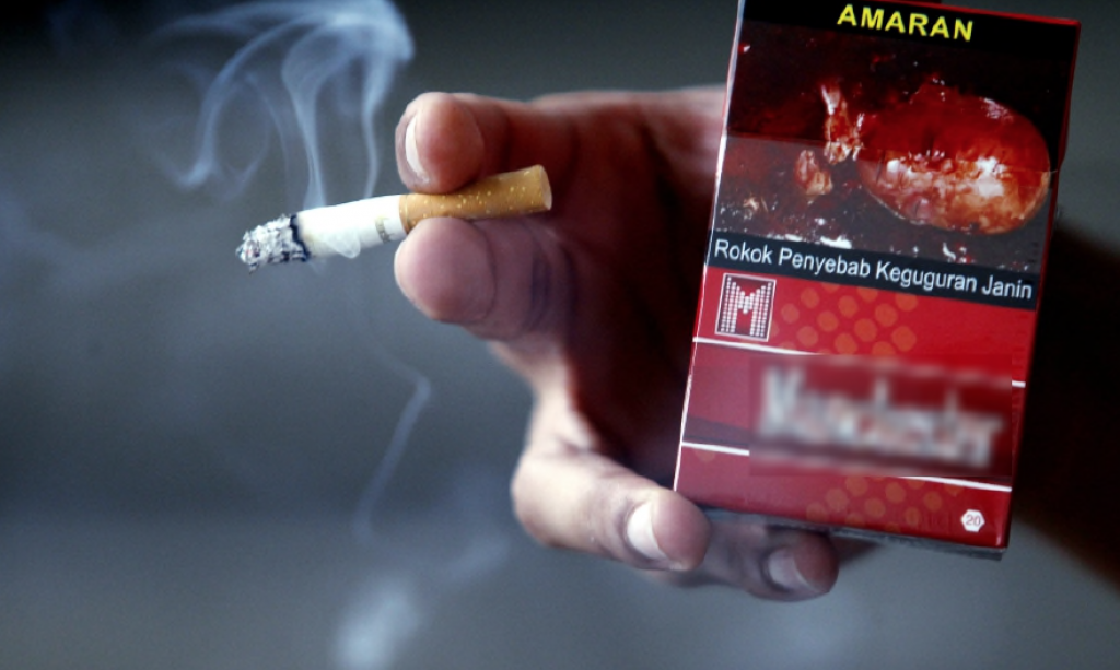 Tobacco Control Act Will Be Launched To Enforce Smoking Ban - WORLD OF BUZZ 2