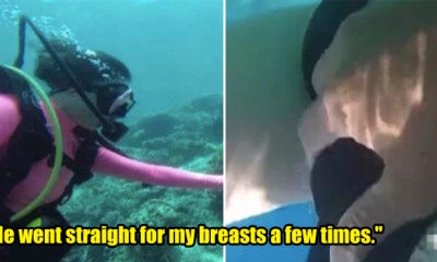 2 Female Tourists Sexually Molested By Coach When Diving In Malaysian Sea - World Of Buzz