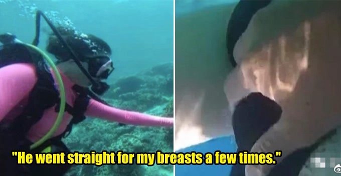 2 Female Tourists Sexually Molested by Coach When Diving in Malaysian Sea - WORLD OF BUZZ