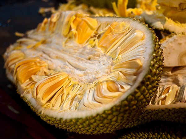 Article By Uk-Based Portal Calling Jackfruit An &Quot;Ugly, Smelly, &Amp; Unharvested Pest-Plant&Quot; Goes Viral &Amp; Asians Are Not Having It - World Of Buzz 1