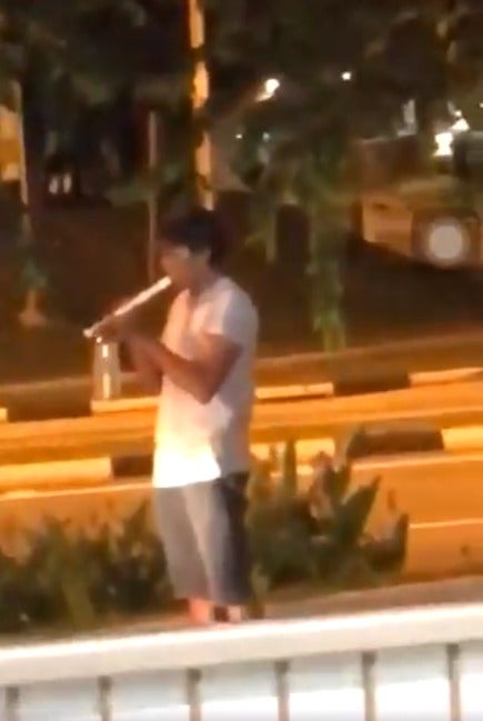 Bizarre Fight Sees Man Playing Recorder in Front of Police While Another Man Wields Potted Plant - WORLD OF BUZZ 2