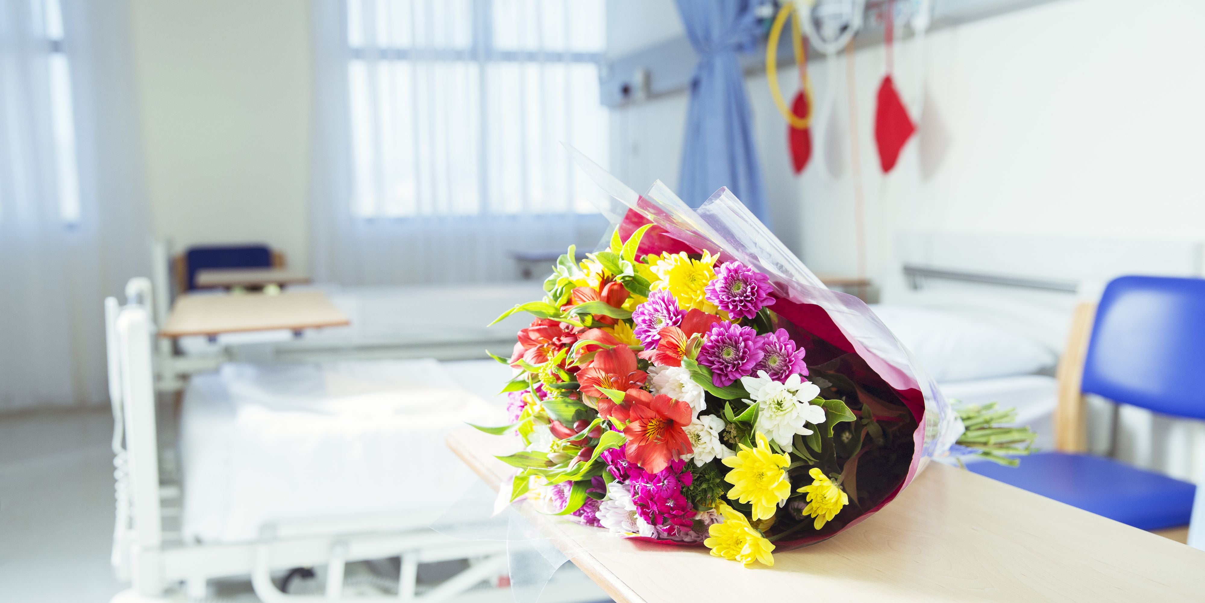 Cancer Patient Visitors Banned from Bringing Fresh Flowers For Risk of Infections - WORLD OF BUZZ