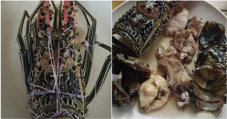 Fake Lobster Containing Chicken And Fish Found In Semporna, Sabah - World Of Buzz 2