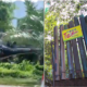Guy Flies Helicopter To Buy Lemang To'Ki In Pahang - World Of Buzz 1