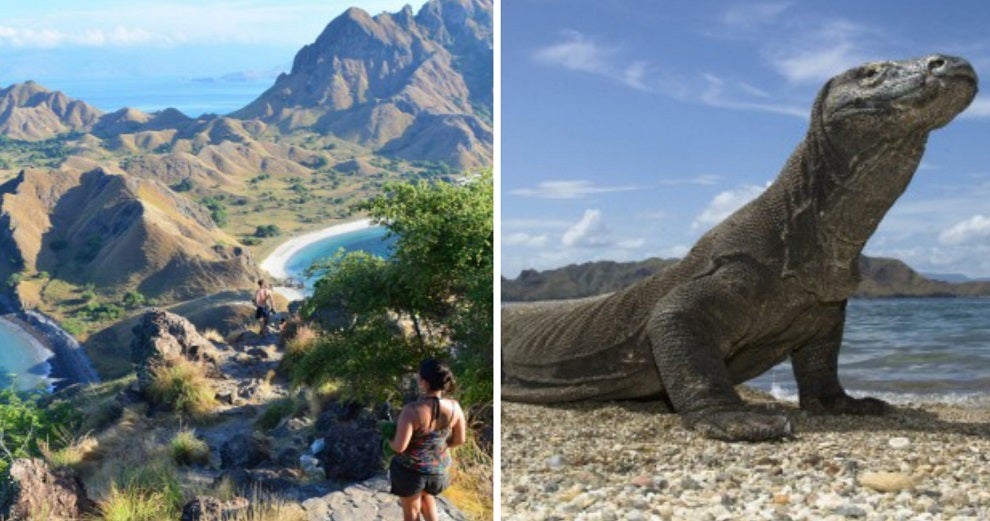 This Popular Indonesian Island Will Be Closed to Tourists For A Year Because People Are Smuggling Its Komodo Dragons on FB - WORLD OF BUZZ