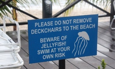M'Sians Advised Not To Swim In Penang Beaches Because Of Jellyfish Invasion In May 2019 - World Of Buzz