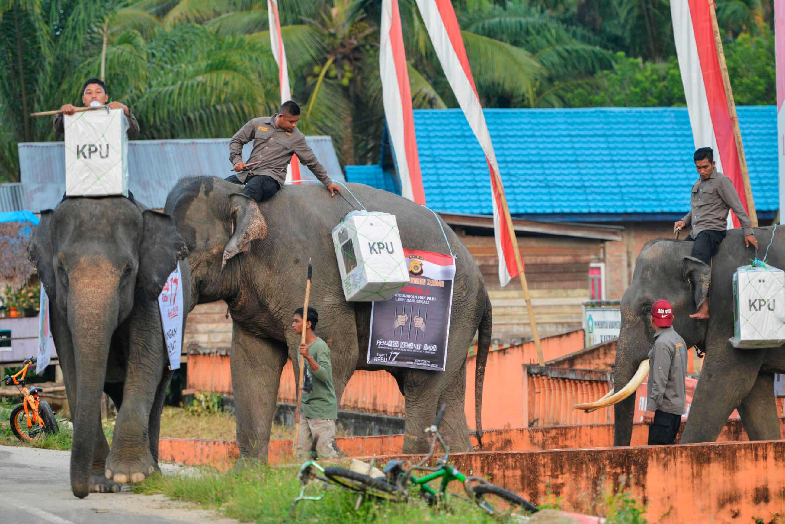 Photos of Indonesian Election Workers Riding Elephants & Crossing Rivers to Deliver Ballot Boxes Go Viral - WORLD OF BUZZ 3