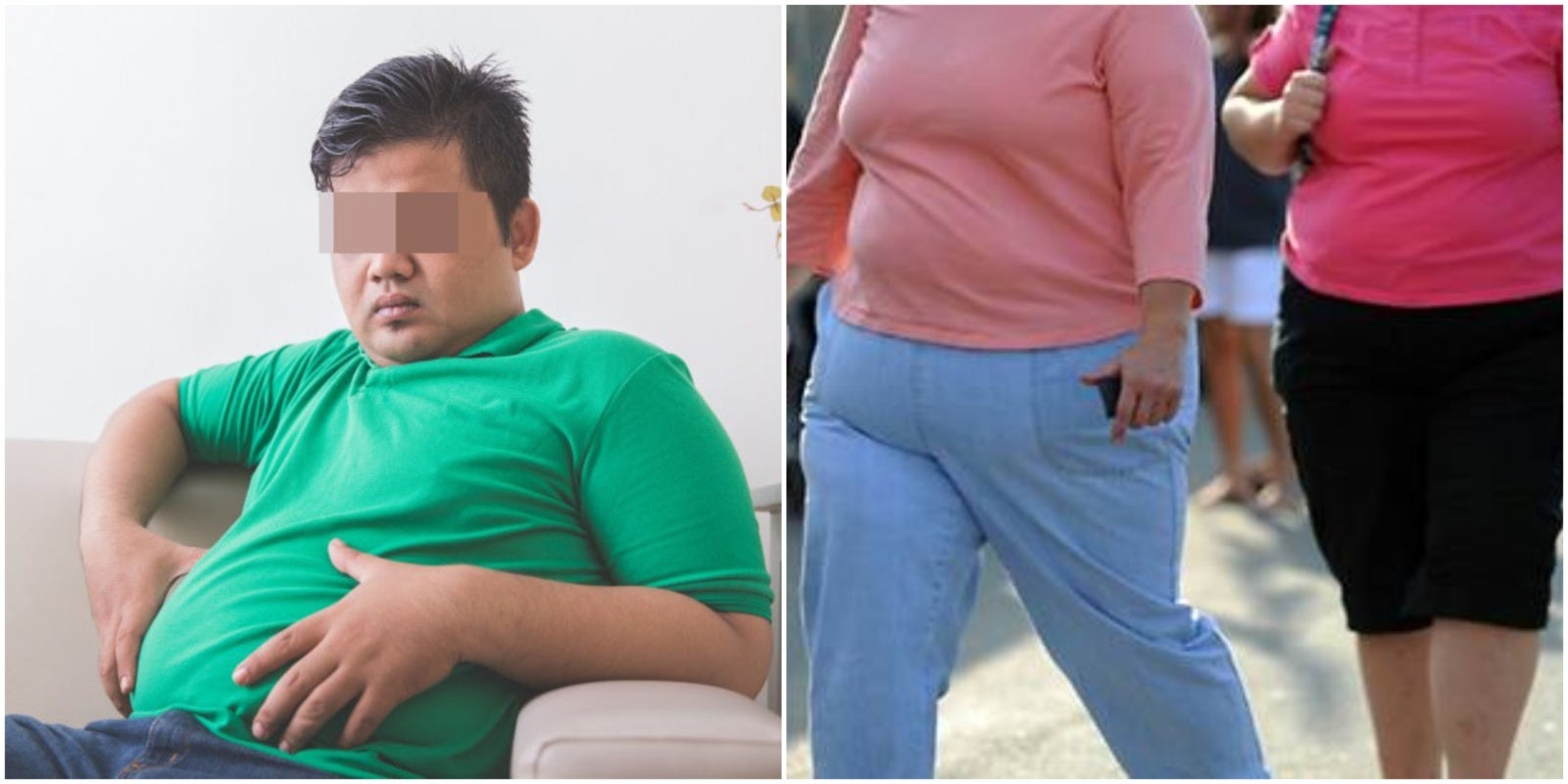 Study Shows the Rounder Your Bellies, The Smaller Your Brain May Become - WORLD OF BUZZ 2