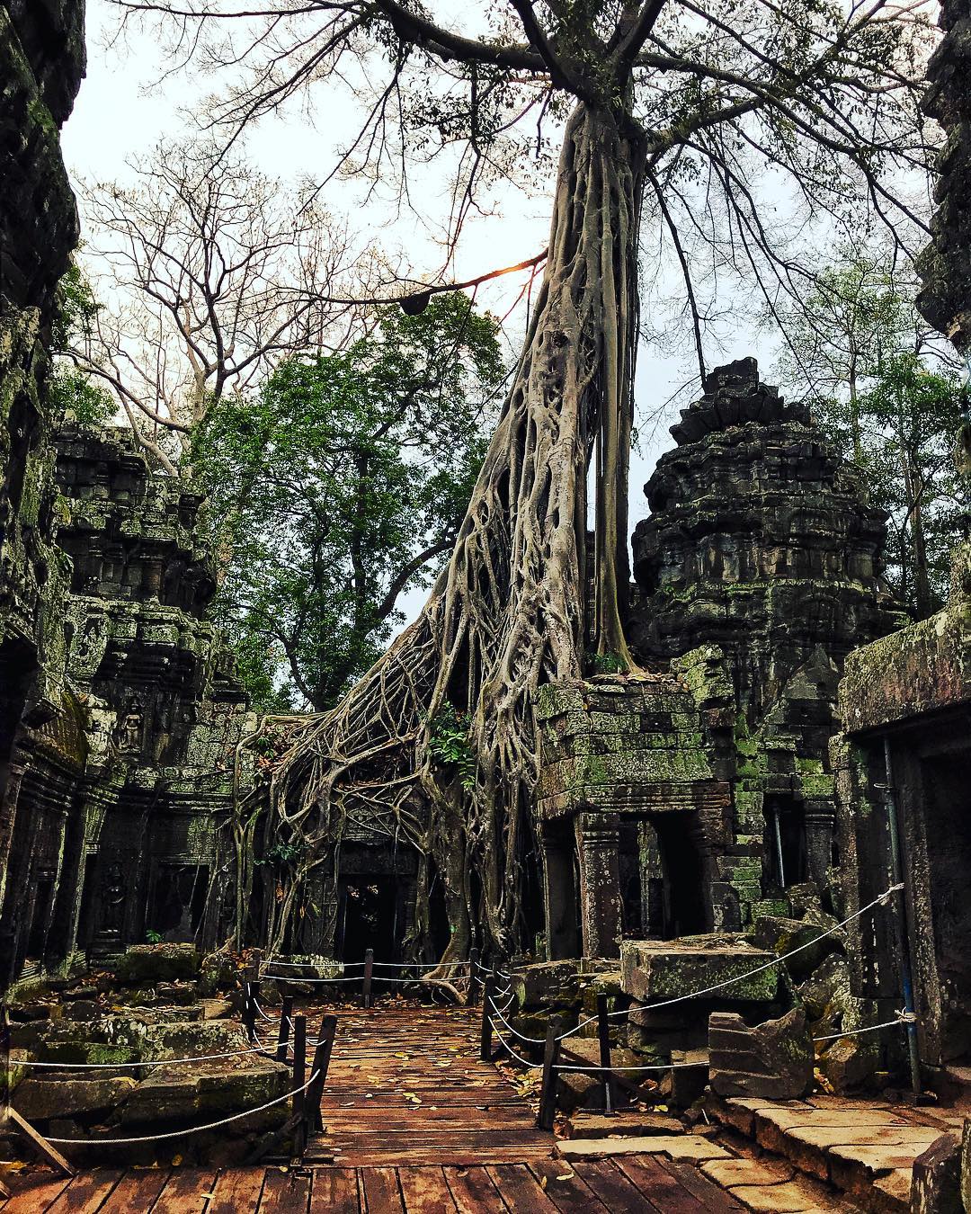 [Test] Watch the Sunrise Over Angkor Watt & X Other Things M'sians Should Have on Their Bucket List - WORLD OF BUZZ 13