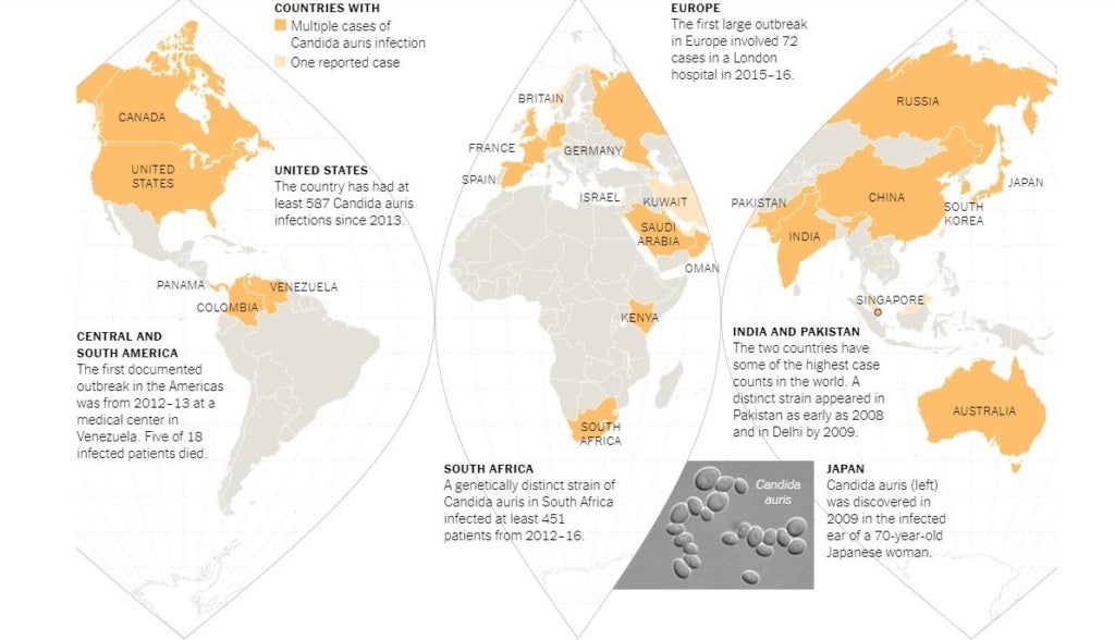 3 Things to Know About The Drug-Resistant Fungal Infection That Has ...