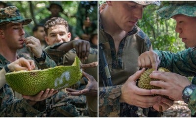These Soldiers Were Given Durian To Eat As Part Of 'Jungle Survival Techniques' - World Of Buzz 8