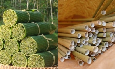 Vietnamese Youngster Makes Bio-Degradable Straws Made Out Of Wild Grass &Amp; Sells Them Too - World Of Buzz