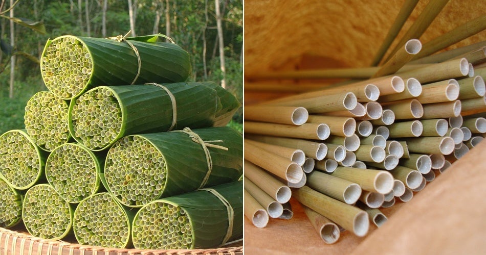 Vietnamese Youngster Makes Bio-Degradable Straws Made Out of Wild Grass & Sells Them Too - WORLD OF BUZZ