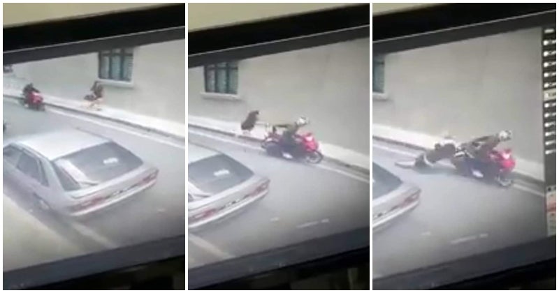 Viral Tweet Highlights Pedestrian Walkaway Being Wrongly Used By MotorCyclist - WORLD OF BUZZ 3