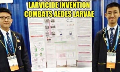 2 M'Sian Students Invented Larvicide To Combat Aedes, Won Award In The Us - World Of Buzz 2