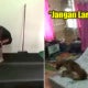 3 Uitm Students Hilariously Try To Move A Stray Dog Without Harming It In Viral Video - World Of Buzz