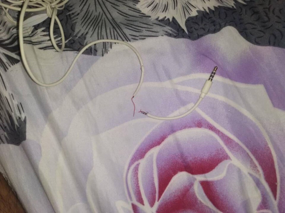 Cute Cat Bites & Spoil Owner's Earphones, Brings Back Snake As Replacement Gift - WORLD OF BUZZ 1
