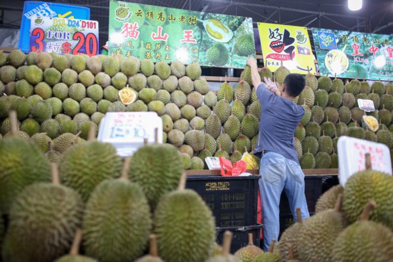 Durian Lovers Rejoice! Musang King Prices Expected To Drop To Rm20 Per Kg! - World Of Buzz 2