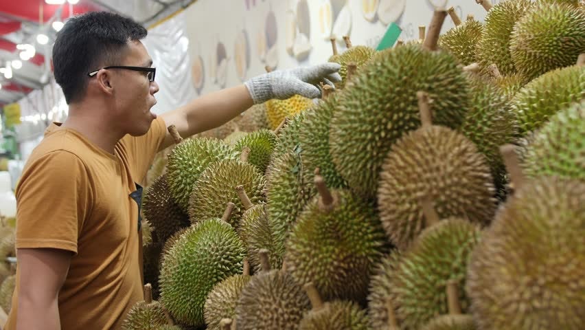 Durian Lovers Rejoice! Musang King Prices Expected to Drop to RM20 Per Kg! - WORLD OF BUZZ 3