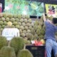 Durian Lovers Rejoice! Musang King Prices Expected To Drop To Rm20 Per Kg! - World Of Buzz 4