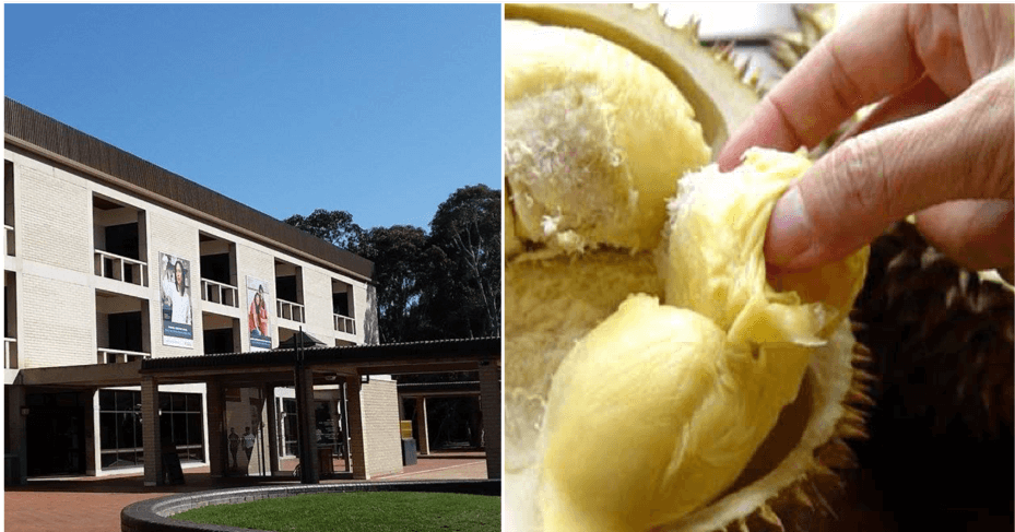 Durian Smell Caused More Than 500 Evacuated From Australian University Library - World Of Buzz 3