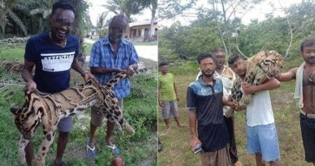 five men arrested after pictures of them holding endangered dead leopard in melaka went viral world of buzz 1 e1558941132143