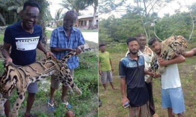 Five Men Arrested After Pictures Of Them Holding Endangered Dead Leopard In Melaka Went Viral - World Of Buzz