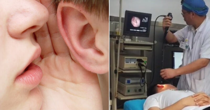 girlfriend kissed boyfriends ear too hard accidentally ruptures his eardrum world of buzz