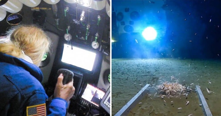 Man Breaks World Record For Deepest Submarine Dive, Finds Plastic Waste