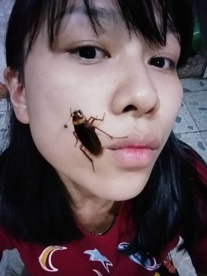 Netizens Are Grossed Out By New Internet Challenge Where You Put Cockroaches on Your Face - WORLD OF BUZZ 1