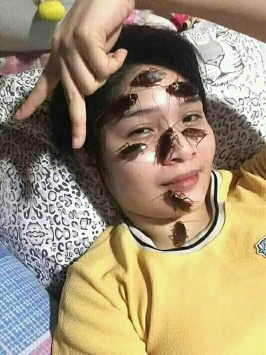 Netizens Are Grossed Out By New Internet Challenge Where You Put Cockroaches on Your Face - WORLD OF BUZZ 3