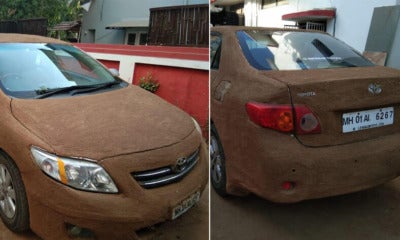 Woman Uses Cow Poop To Protect Her Car From The Extremely Hot Weather Over 40 Degrees - World Of Buzz